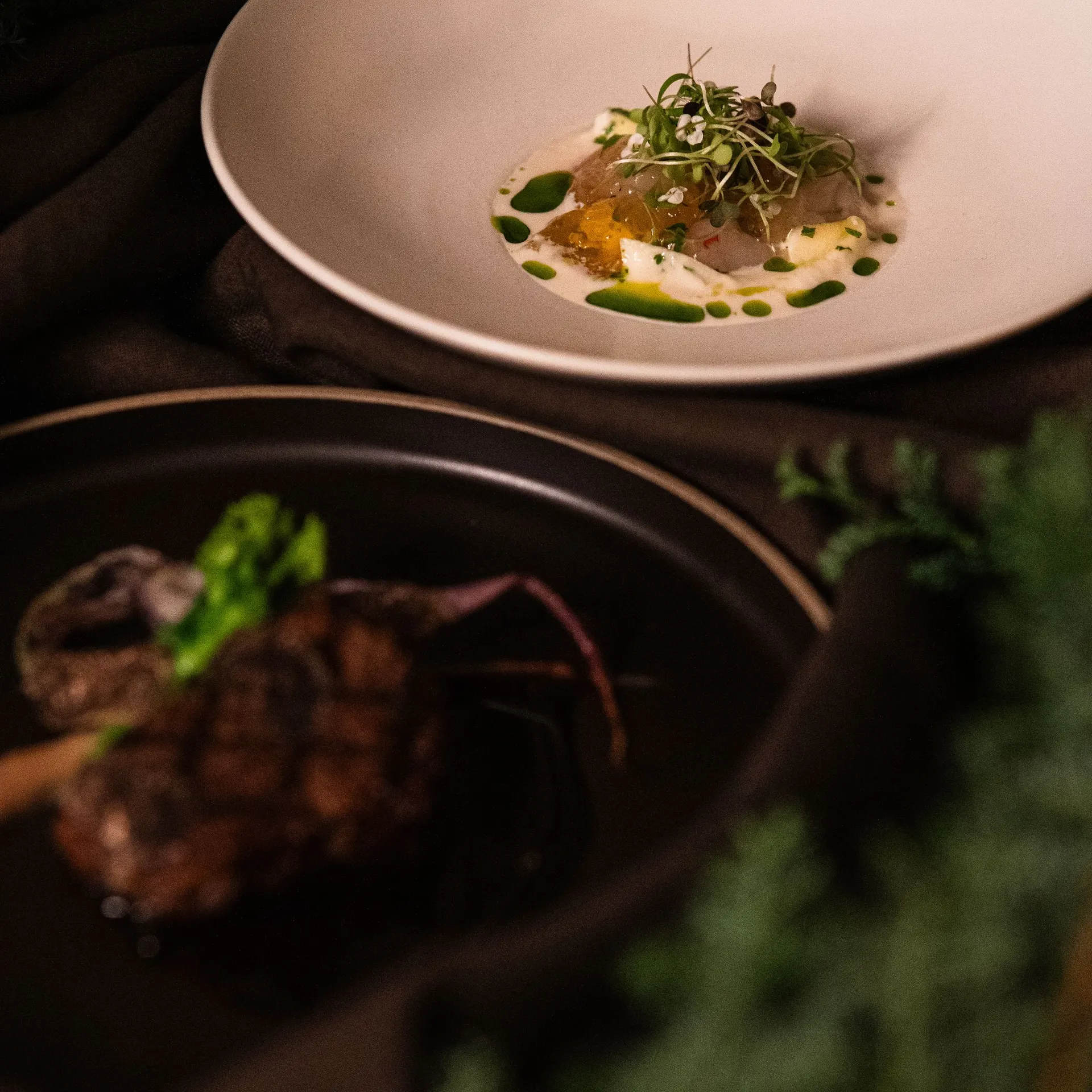 Plated main course photographed on dark