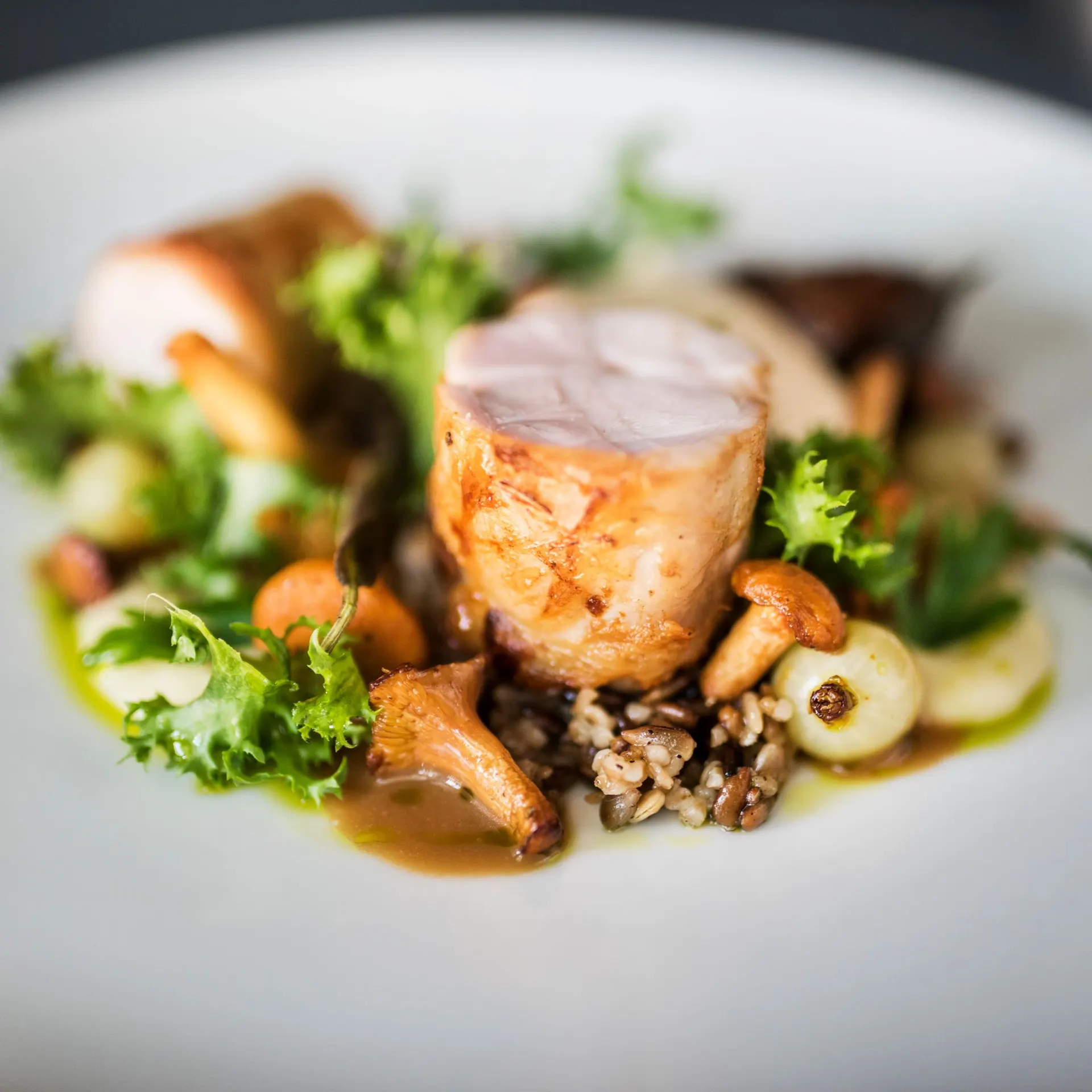 Plated fish course